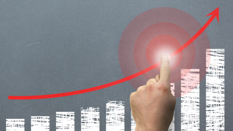 O poder da indicação no crescimento da rede Tomme